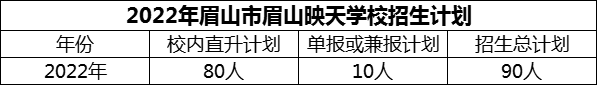 2024年眉山市眉山映天學(xué)校招生計劃是多少？