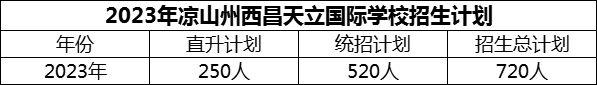 2024年涼山州西昌天立國際學(xué)校招生計劃是多少？