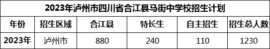2024年瀘州市四川省合江縣馬街中學(xué)校招生計(jì)劃是多少？