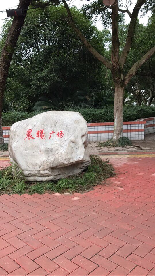 內(nèi)江十二中校園風采