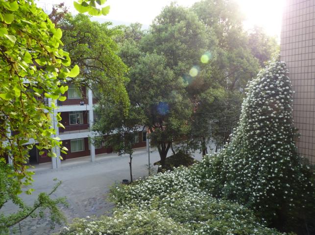 石室聯(lián)合中學(xué)蜀華分校怎么樣？