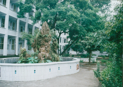 內(nèi)江十三中地址在哪？