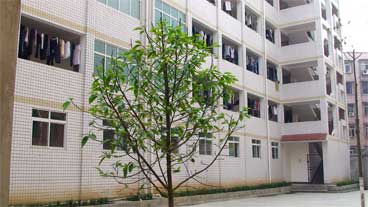 威遠(yuǎn)自強(qiáng)中學(xué)是民辦還是公辦學(xué)校？