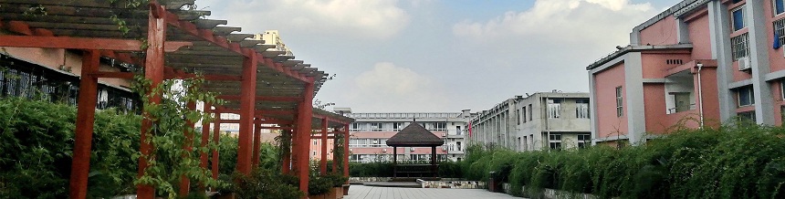 成都市通錦中學(xué)2019年中考分?jǐn)?shù)線是多少？