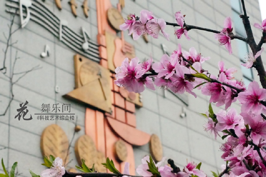石室天府中學(xué)環(huán)境好不好、怎么樣？