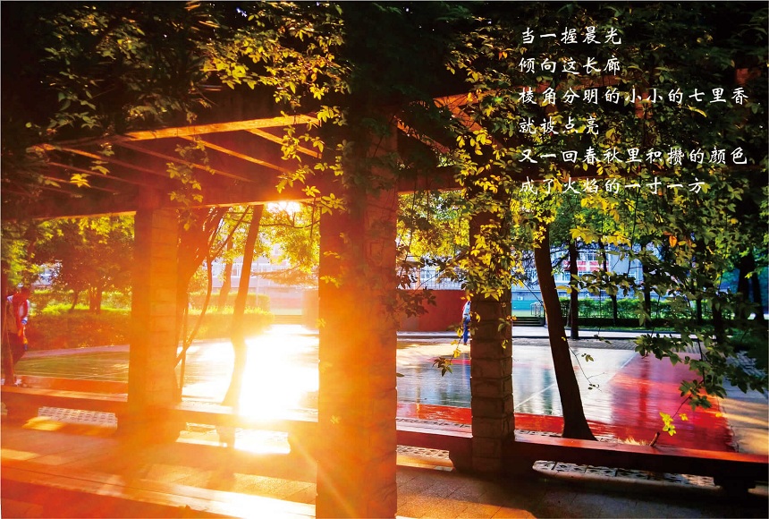成都七中高新校區(qū)2019年中考分?jǐn)?shù)線是多少？