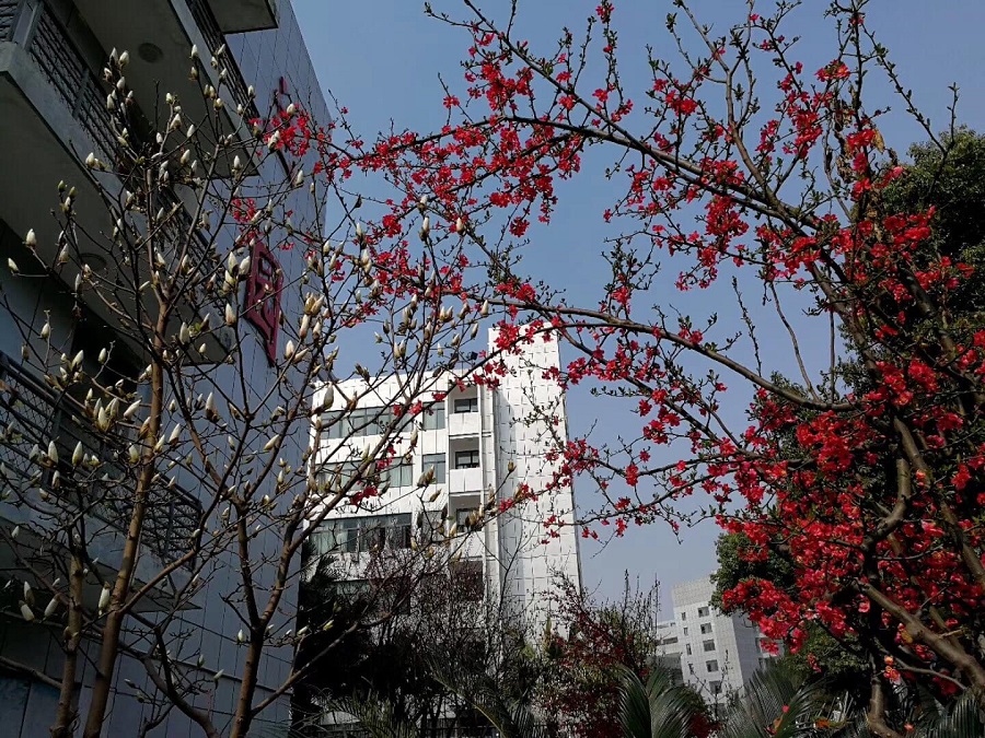 綿陽(yáng)南山中學(xué)教學(xué)質(zhì)量怎么樣？