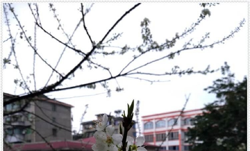 洪雅中學是一所公辦高中學嗎？