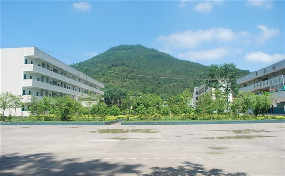 金山中學(xué)學(xué)校環(huán)境如何？