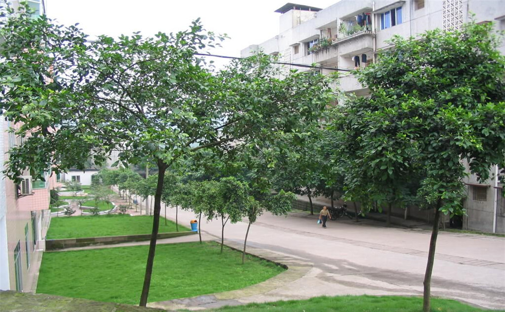 瀘州市納溪區(qū)護(hù)國中學(xué)地址在哪里？