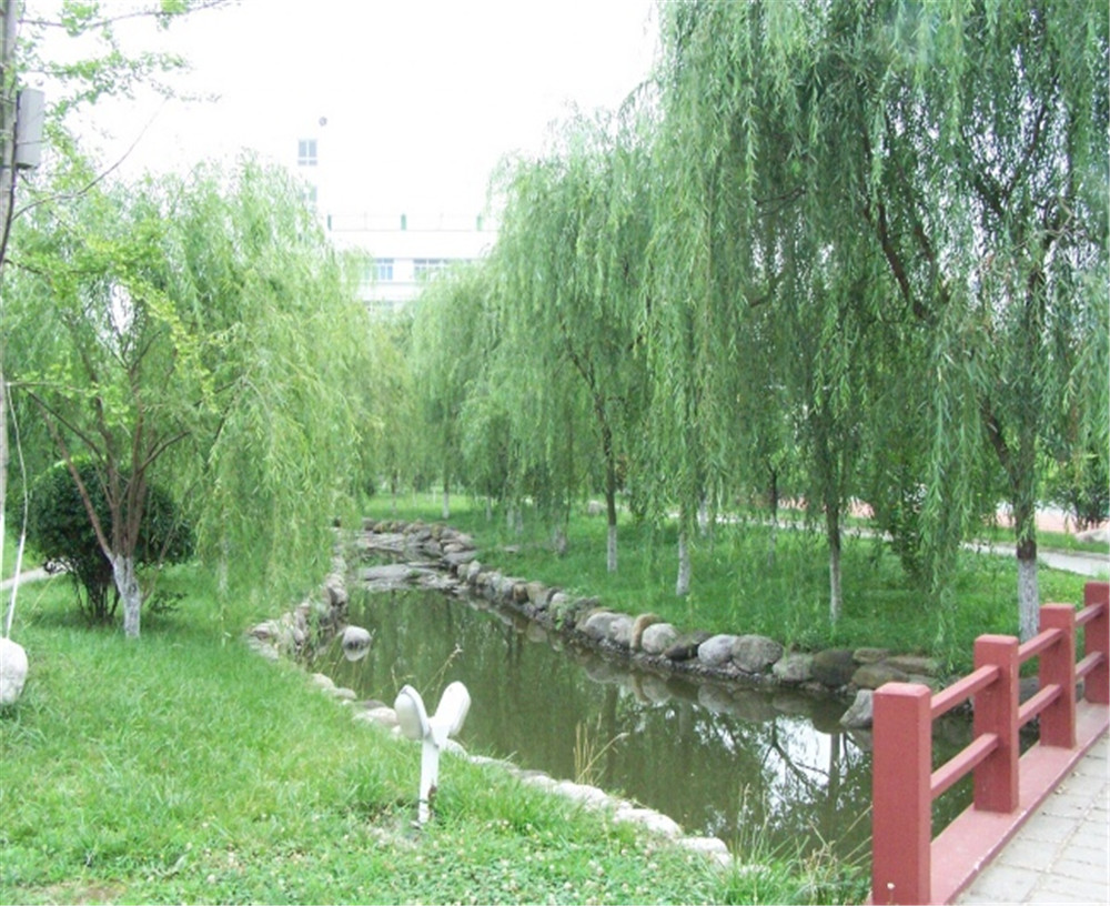廣元外國語2020年學(xué)校招生分?jǐn)?shù)公布了嗎？
