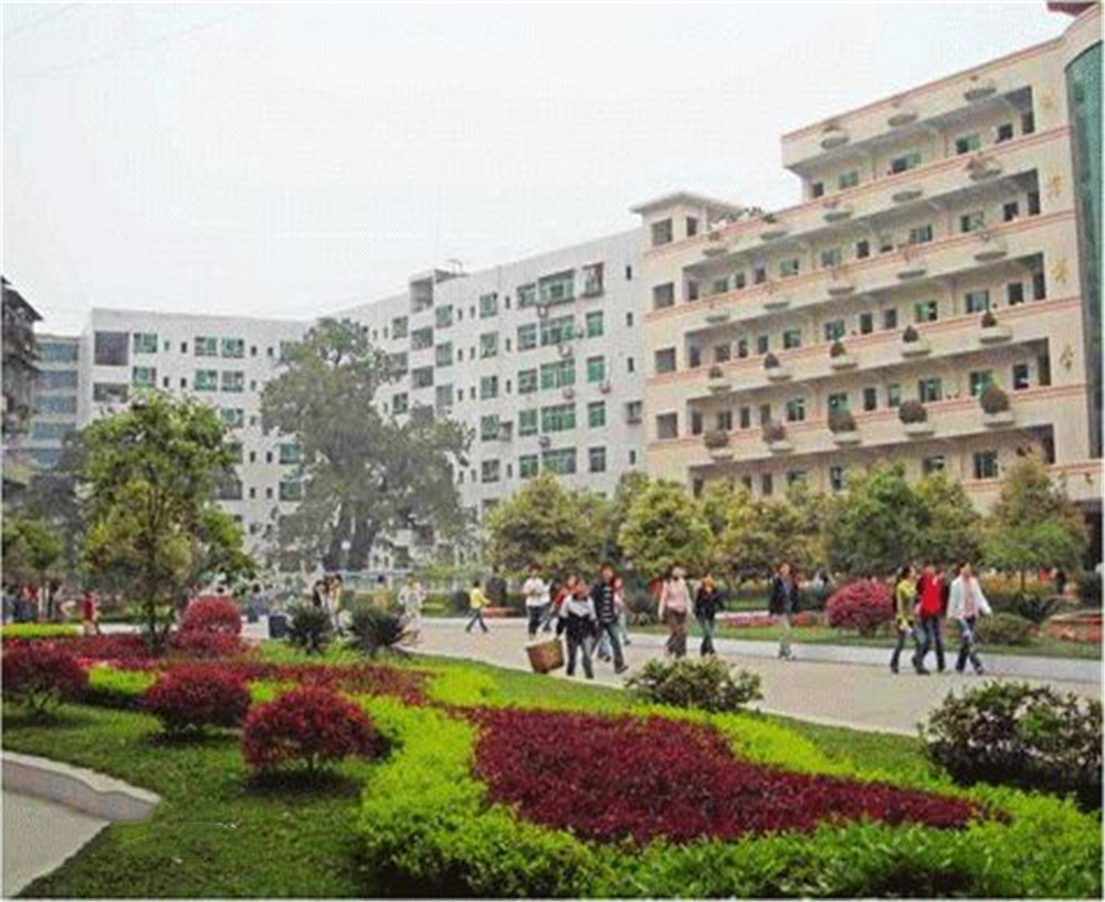 渠縣第二中學(xué)學(xué)校2020年的錄取分?jǐn)?shù)公布了嗎？
