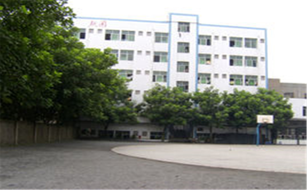 資中縣第三中學(xué)學(xué)校環(huán)境怎么樣？