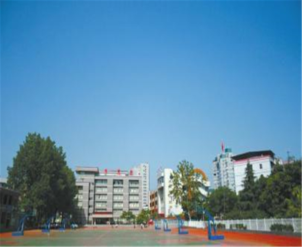 達(dá)川中學(xué)2020年的招生簡(jiǎn)章發(fā)布了嗎？