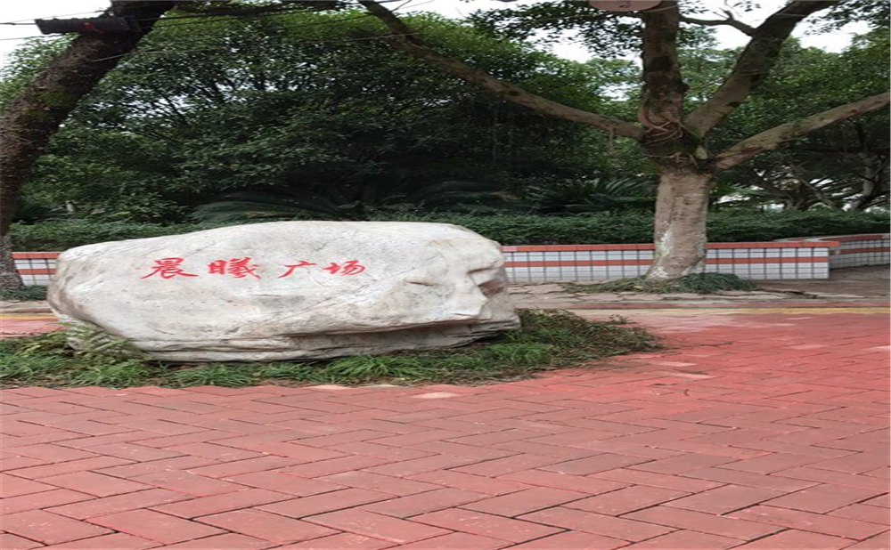 內(nèi)江十二中2020年中考錄取分?jǐn)?shù)線多少分？