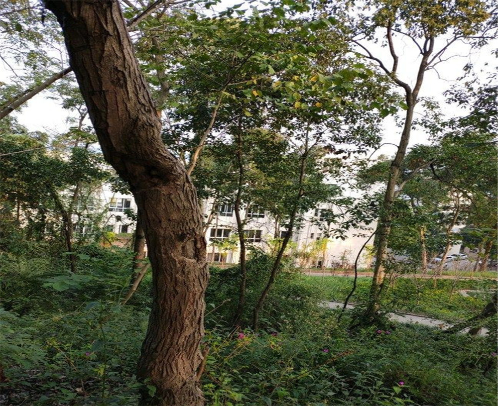 蒲家中學的詳細地址在什么地方？