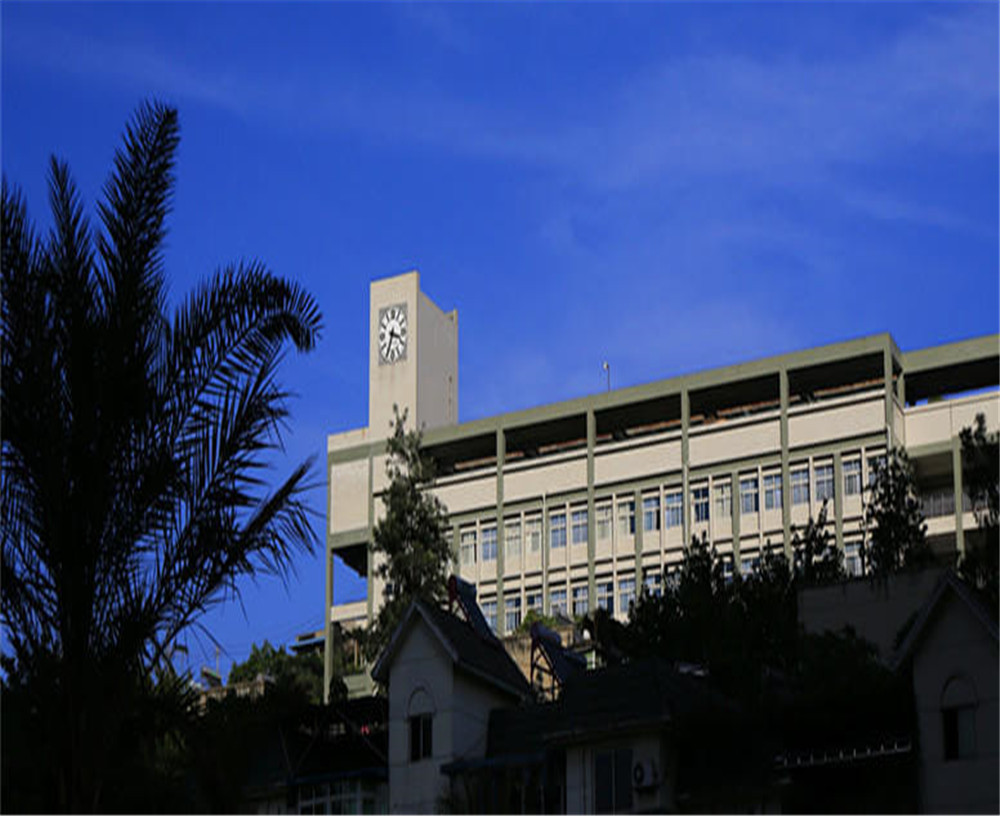 攀枝花市第十五中學(xué)學(xué)校詳細(xì)地址在什么地方？