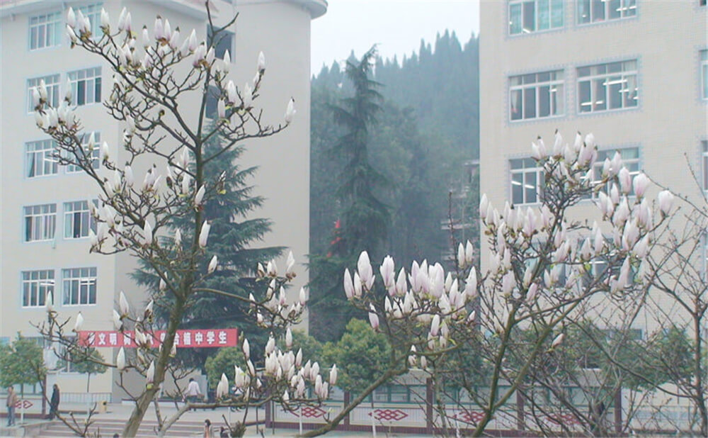 建興中學2020年中考錄取分數(shù)線多少分？