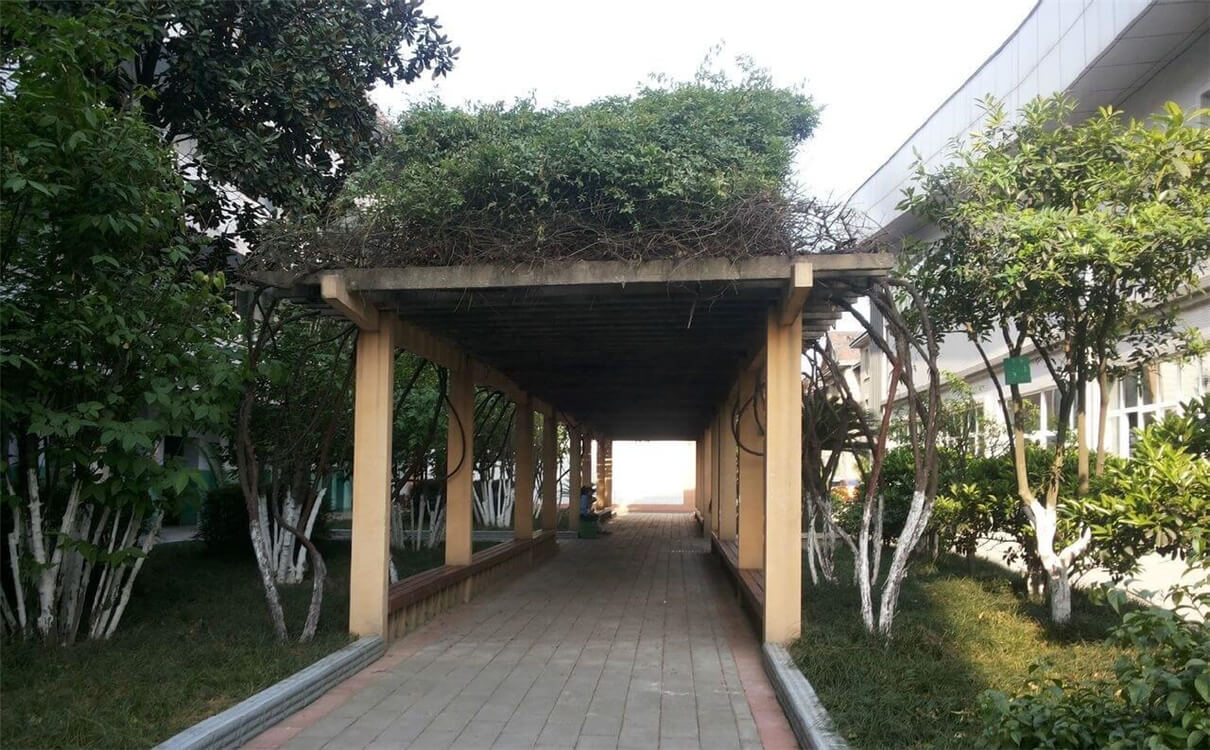 通錦中學(xué)的高中怎么樣？