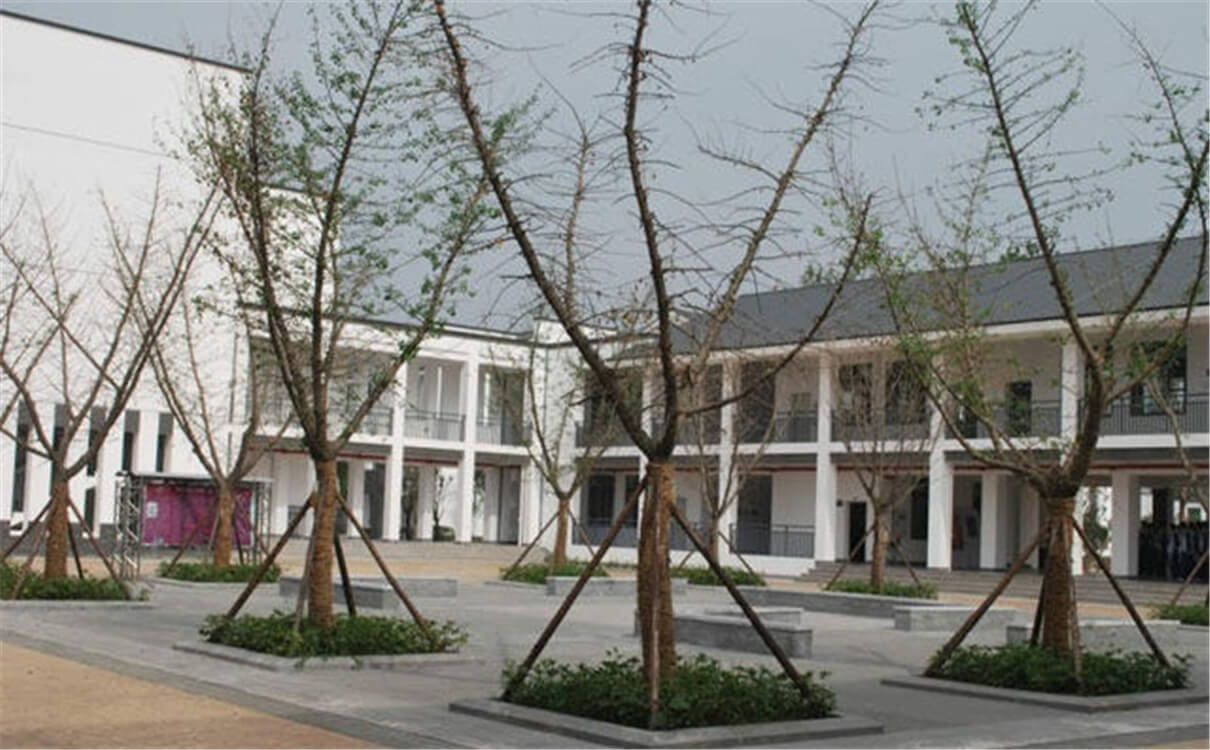 石室白馬中學(xué)的高中怎么樣？