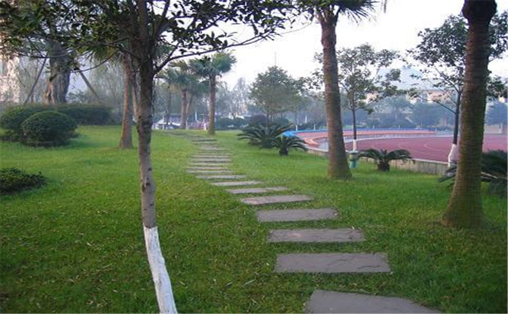 成都石室佳興外國語學(xué)校外招生一年的學(xué)費是多少錢？