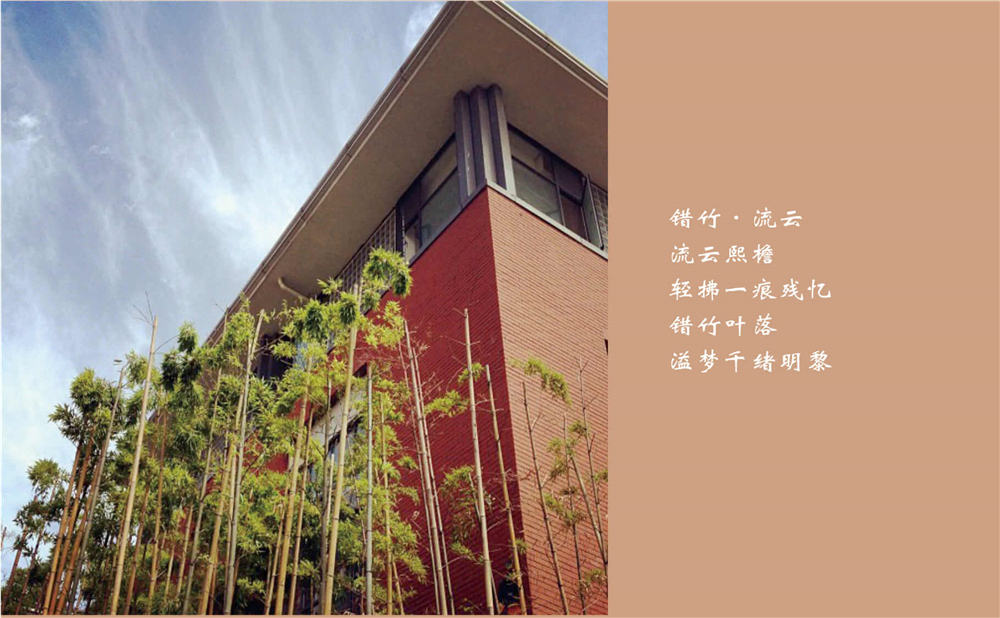 成都七中的高考升學(xué)率是多少？