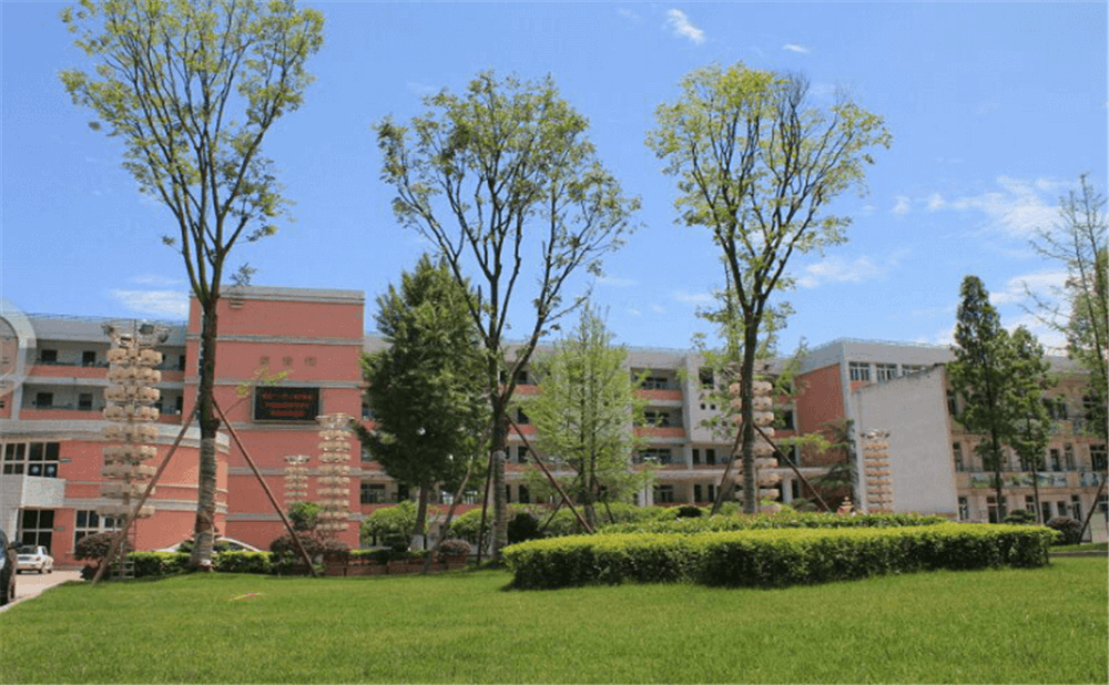 成都市籍田中學(xué)的老師怎么樣？