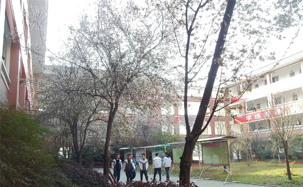 崇慶中學(xué)的去年錄取分?jǐn)?shù)線(xiàn)是多少分？