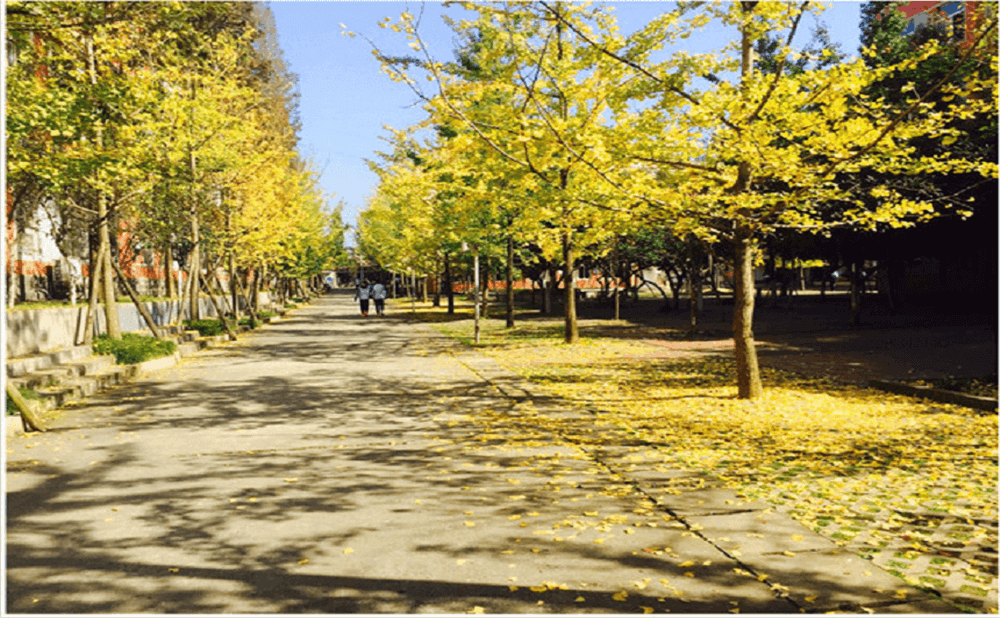 大邑中學(xué)2020年招生標(biāo)準(zhǔn)在哪兒看？