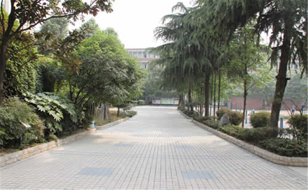 成都列五中學(xué)的學(xué)費是多少錢？