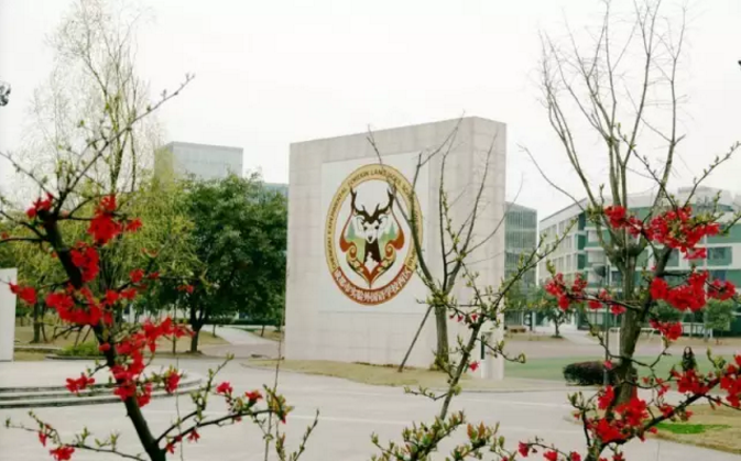 成都實(shí)驗(yàn)外國(guó)語(yǔ)學(xué)校（西區(qū)）2020年的招生標(biāo)準(zhǔn)是什么？
