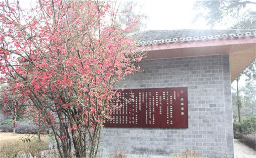 彭州中學(xué)2020年招生標(biāo)準(zhǔn)在哪兒看？