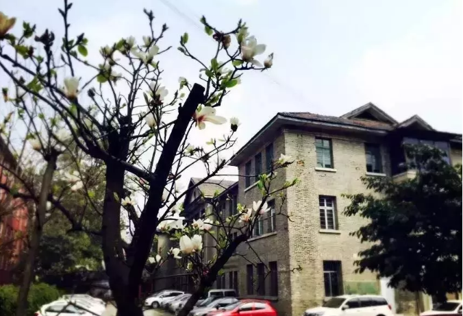 通錦中學(xué)的宿舍怎么樣？