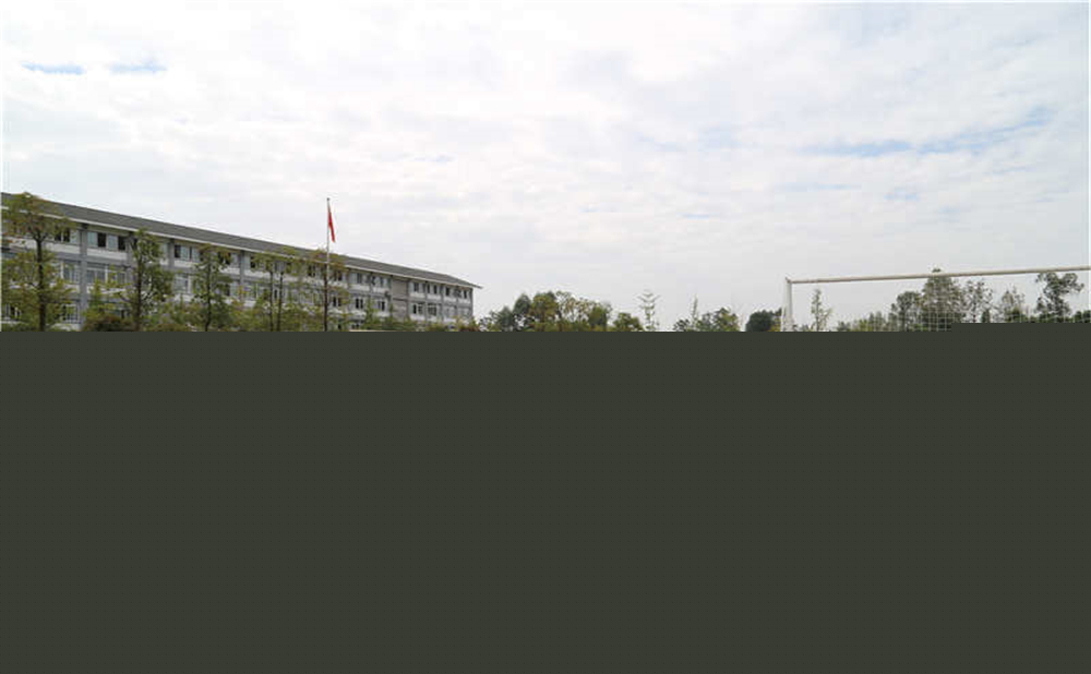 平樂(lè)中學(xué)的升學(xué)率是多少？