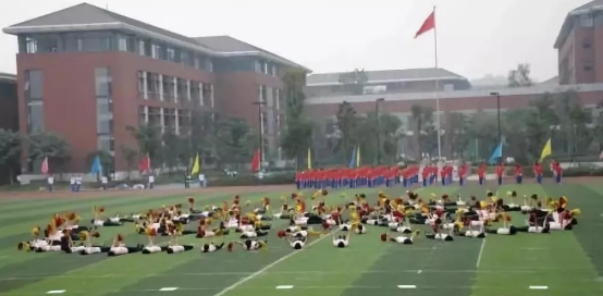 2020年成都七中高新校區(qū)的升學(xué)率有多少？