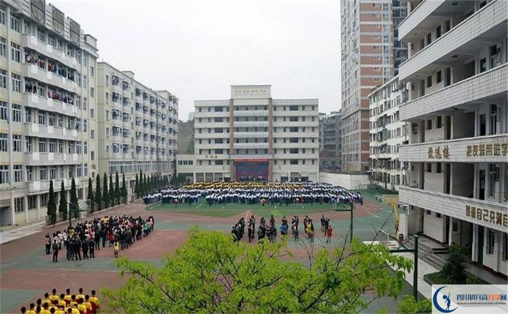 陽安中學(xué)的老師好不好？