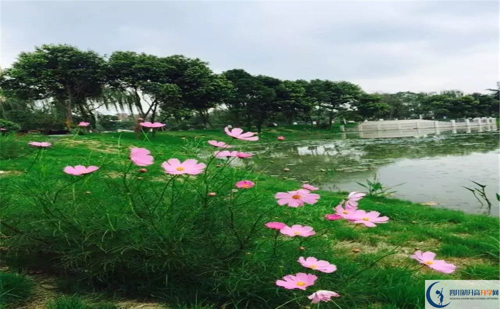 2020年三原外國(guó)語(yǔ)學(xué)校高中的分?jǐn)?shù)線是多少？