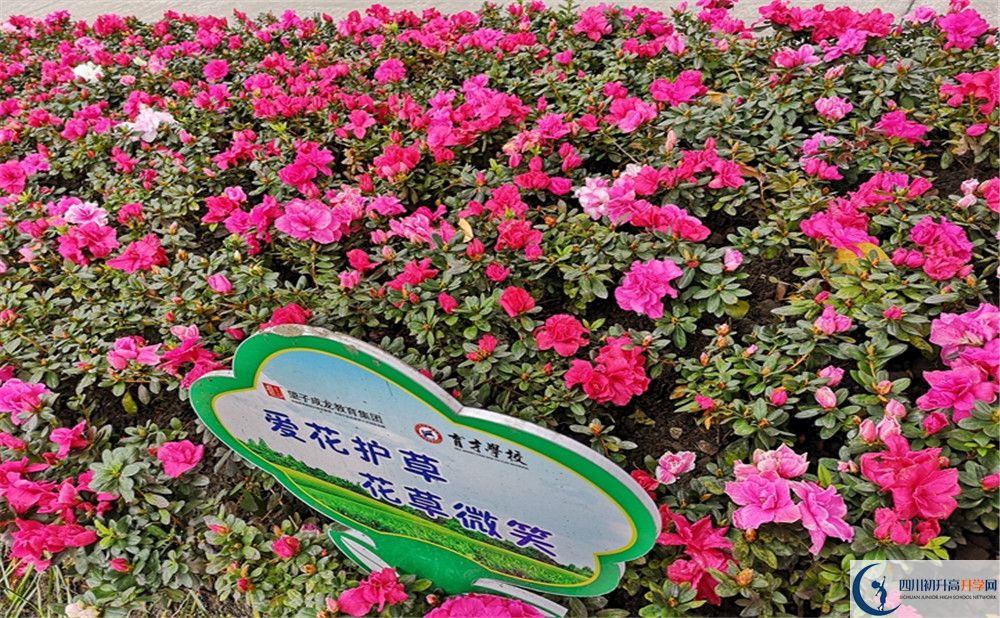育才學(xué)校高中歷年來的分?jǐn)?shù)線是多少？