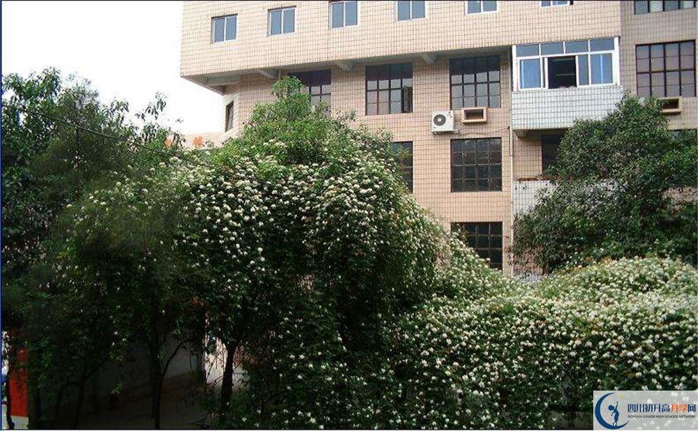 石室聯(lián)合中學(xué)蜀華分校2020年錄取條件是什么？