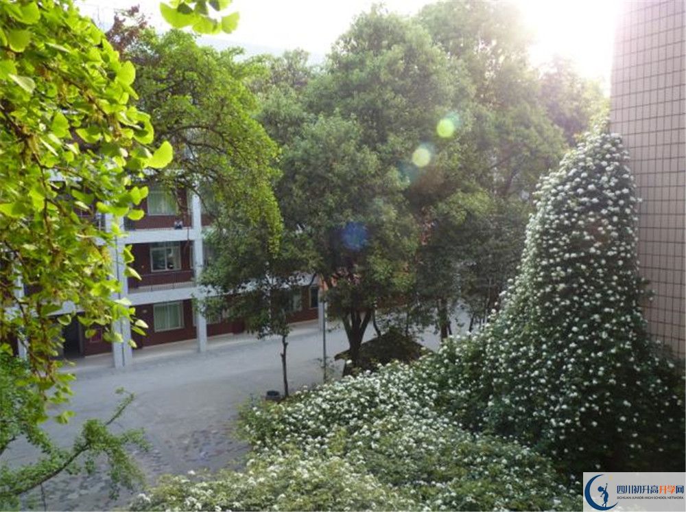 四川師范大學(xué)實(shí)驗(yàn)外國語學(xué)校2020年錄取條件是什么？