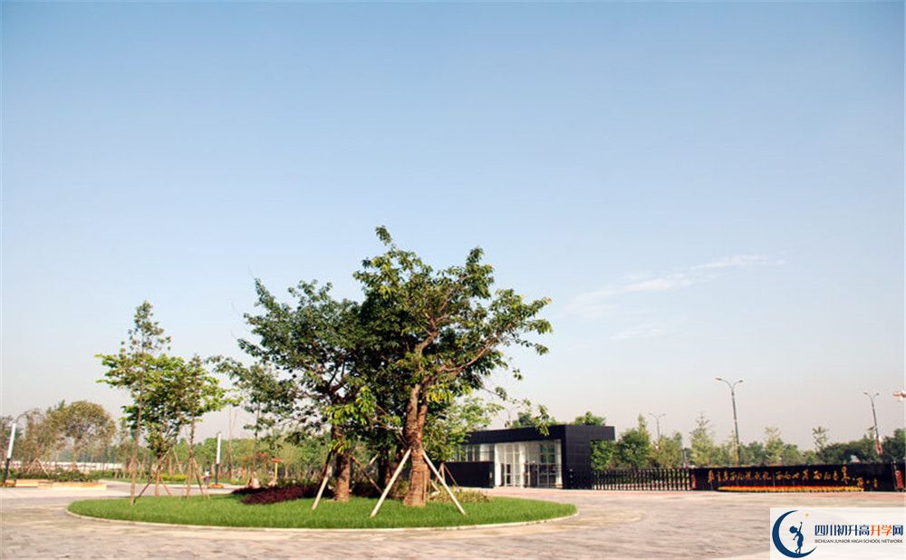 成都樹(shù)德中學(xué)光華校區(qū)2020年外地生自主招生錄取名單哪看？