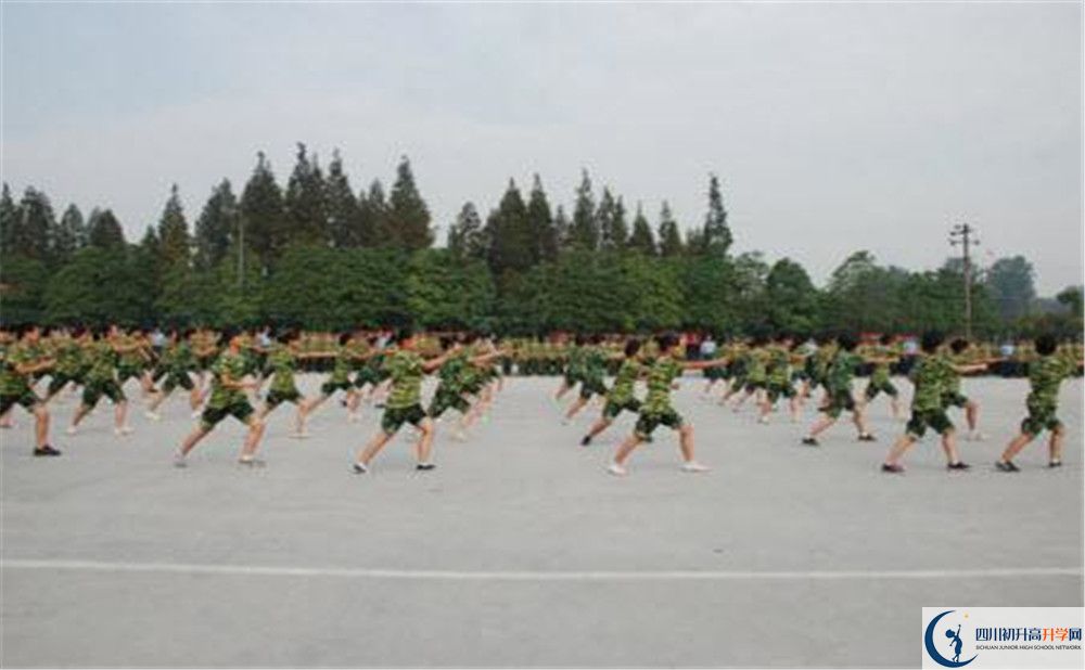 香城中學(xué)高一分班嗎？