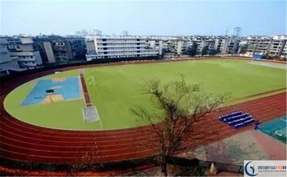 成都實(shí)外新都五龍山學(xué)校招生考試科目有哪些？
