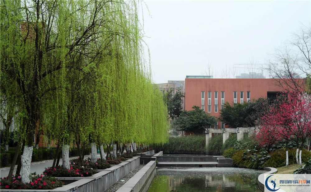 香城中學自主招生條件是什么？