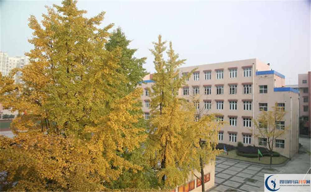 成都西藏中學是私立還是公立學校？