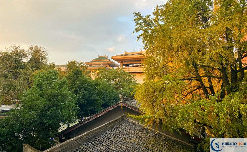 成都石室中學(xué)位置在哪里？