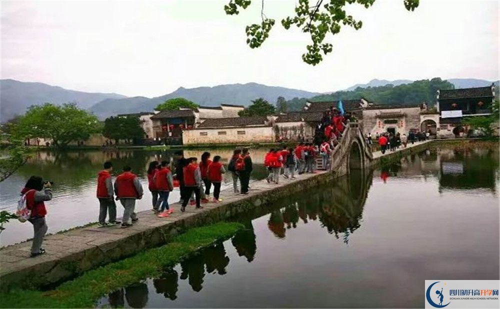 2020成都市泡桐樹中學(xué)國際部入學(xué)多少分？