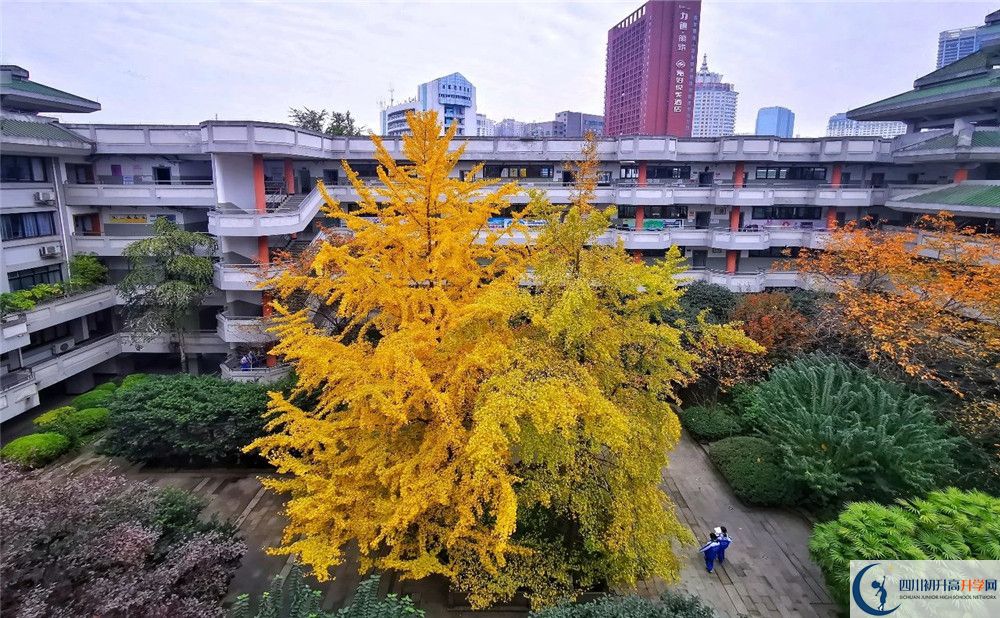 成都市泡桐樹中學(xué)2020年全國排名？