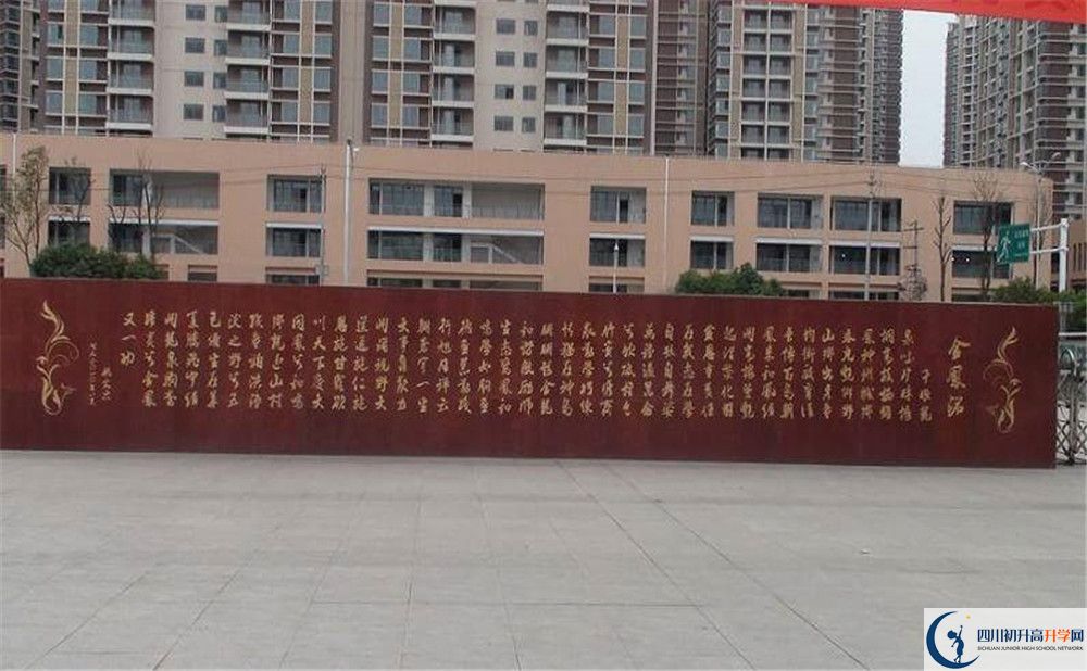 成都經(jīng)濟(jì)技術(shù)開發(fā)區(qū)實(shí)驗(yàn)中學(xué)2020年全國排名是多少？