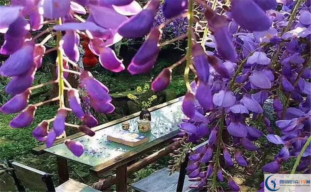 郫縣三中平行班與實(shí)驗(yàn)班差多少？